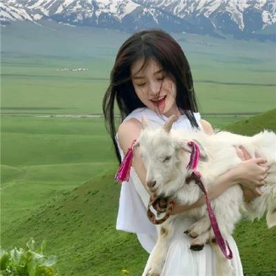爱上查美乐封面
