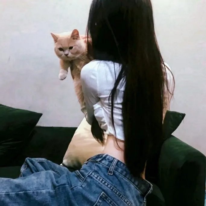 玉女求凰封面