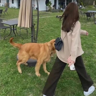 狱爱封面