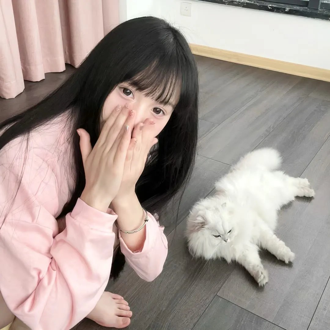 八甲田山封面